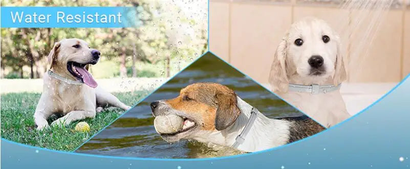 New 38/62CM Pet Calming Collar Cat And Dog Relieve Anxiety Protection Retractable Collars For Puppy Kitten Large Dogs Accessorie