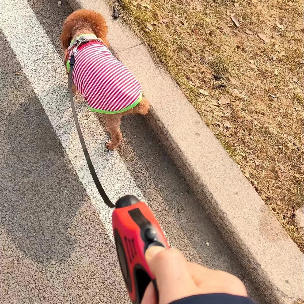 Automatic Dog Leash 3M 5M Retractable Extendable Rope for Small Dogs Accessories Outdoor Walking Hiking Puppy Cat Traction Belt