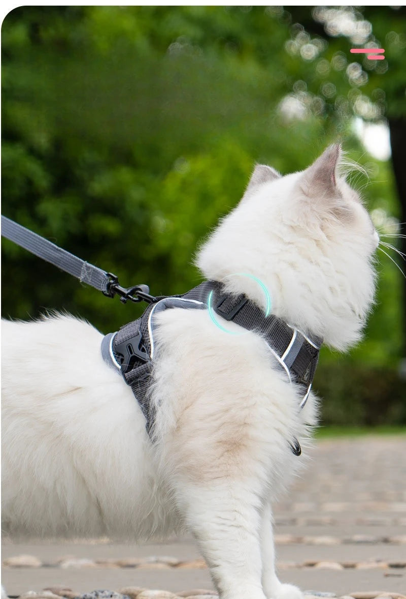 New No Pull Dog Harness and Leash Set Adjustable Pet Harness Vest for Small Dogs Cats Reflective Dog Chest Strap Lead Walking