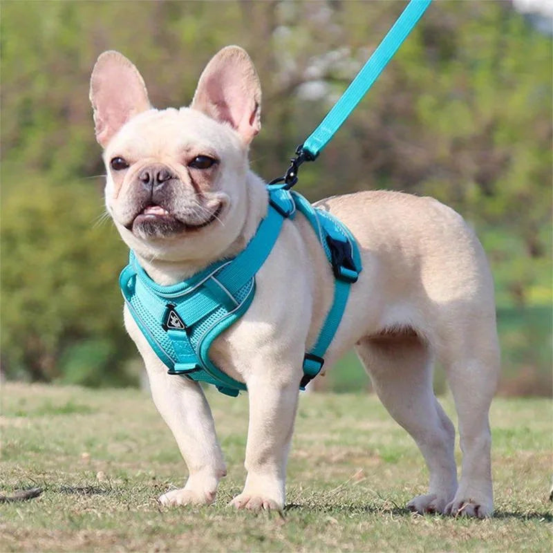 Cat Harness Vest Walking Lead Leash for Puppy Dogs Collar Polyester Adjustable Mesh Dog Harness for Small Medium Pet Accessories