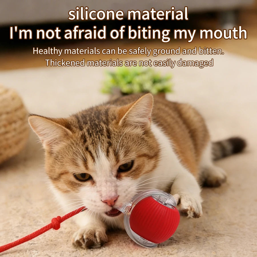 Cat and Dog Interactive Rolling Ball Toy Rechargeable Pet Electric Toy Teasing Cat Ball Teasing Dog Ball Automatic Rolling