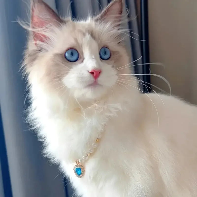 Fashion Pet Heart Pendant Necklace Adjustable Collar Fake Pearls for Dogs Cats Stylish and Comfortable Accessories Pet Supplies