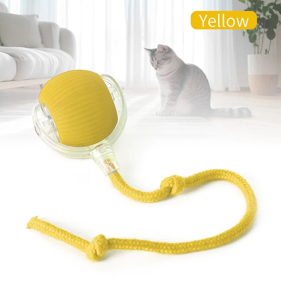 Cat and Dog Interactive Rolling Ball Toy Rechargeable Pet Electric Toy Teasing Cat Ball Teasing Dog Ball Automatic Rolling
