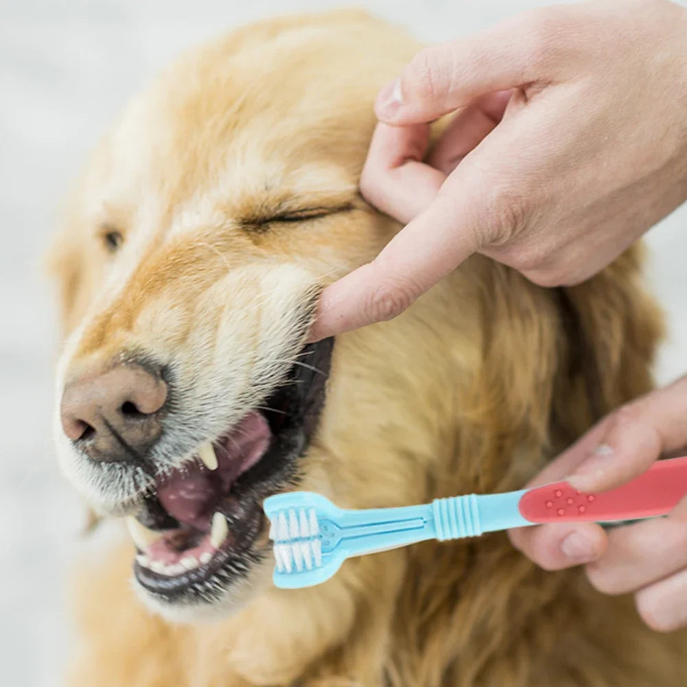 Three Sided Pet Toothbrush Three-Head Multi-angle Toothbrush Cleaning Dog Cat Brushes Bad Breath Teeth Care ToolS