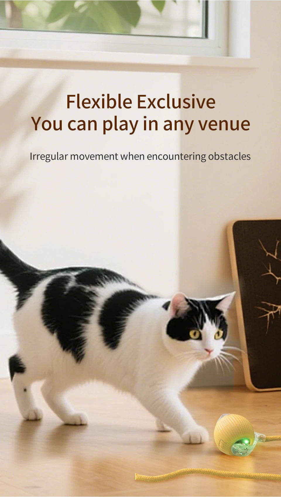 Cat and Dog Interactive Rolling Ball Toy Rechargeable Pet Electric Toy Teasing Cat Ball Teasing Dog Ball Automatic Rolling