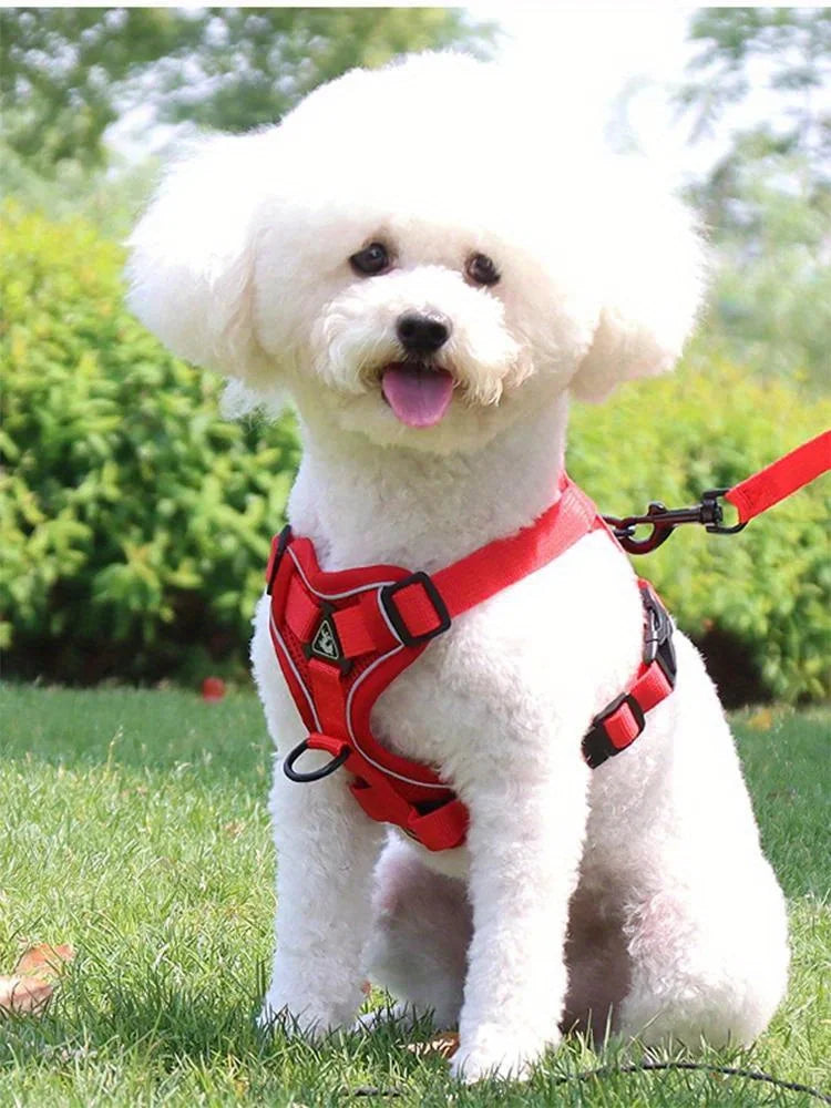 Cat Harness Vest Walking Lead Leash for Puppy Dogs Collar Polyester Adjustable Mesh Dog Harness for Small Medium Pet Accessories