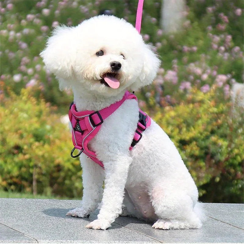 Cat Harness Vest Walking Lead Leash for Puppy Dogs Collar Polyester Adjustable Mesh Dog Harness for Small Medium Pet Accessories