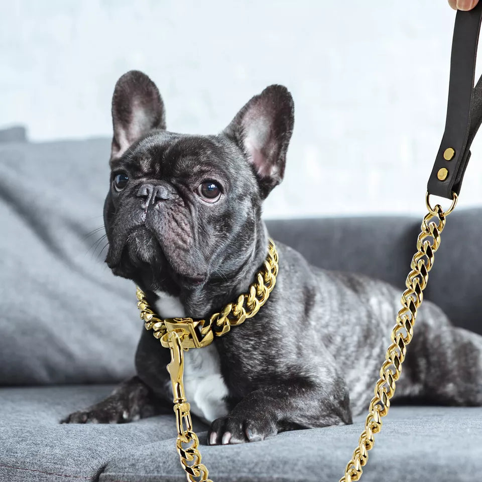 Chain Dog Collar and Heavy Duty Leash Leather Handle Cuban Link Stainless Steel